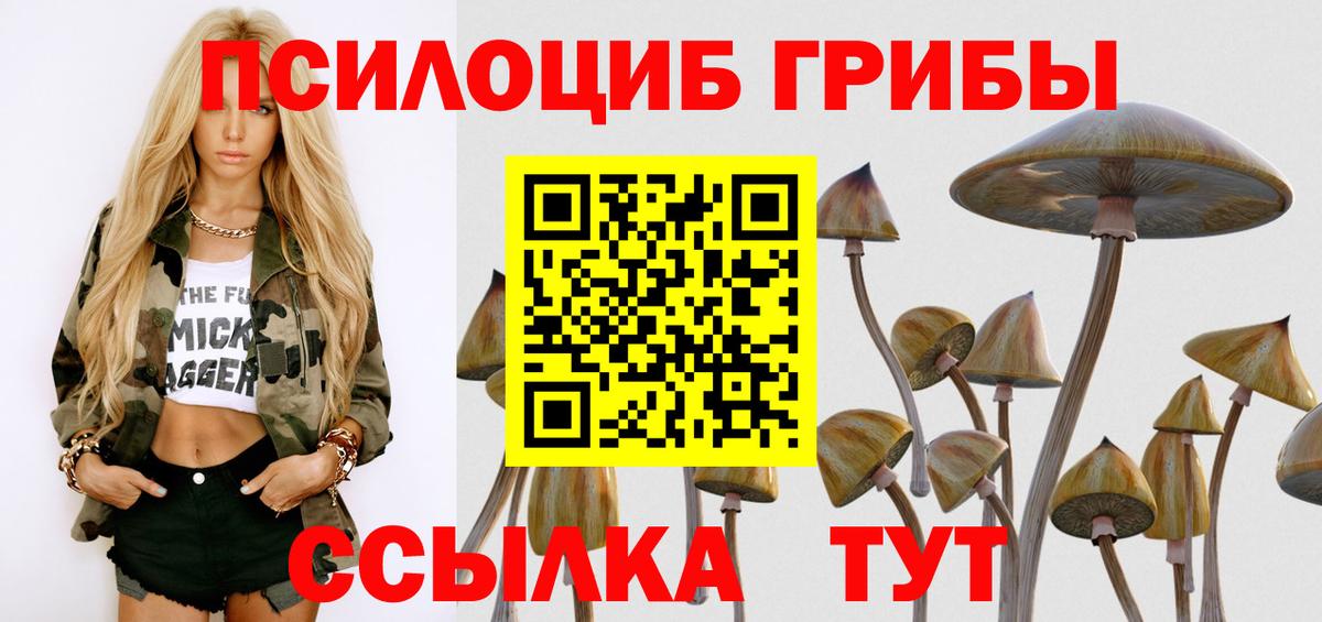 Псилоцибиновые грибы Psilocybe  Галлюциногенные грибы MAGIC MUSHROOMS  где купить наркотик  Алатырь  Вход с VPN 