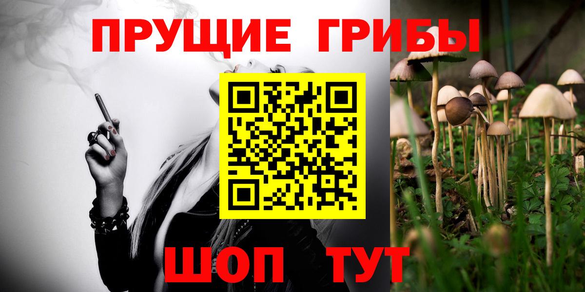 Галлюциногенные грибы Psilocybe Алатырь